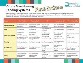 Group-Sow-Housing-Feeding-Systems